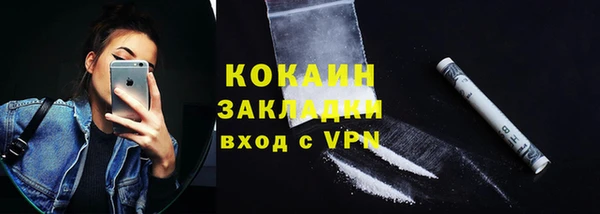 СК Пересвет