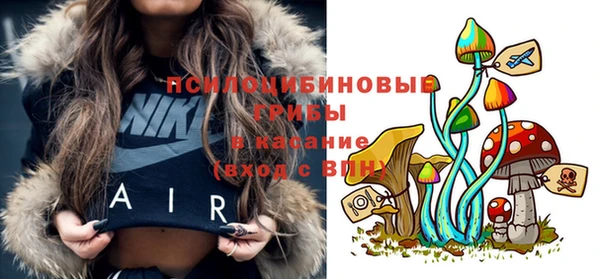 меф Пестово