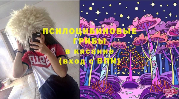 меф Пестово