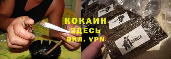 СК Пересвет