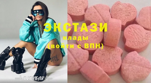 СК Пересвет