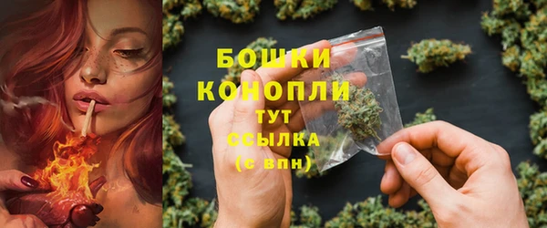 СК Пересвет